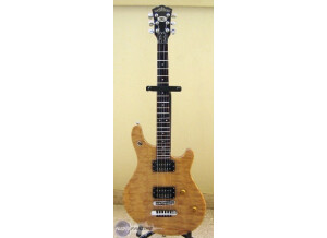 Washburn WM100
