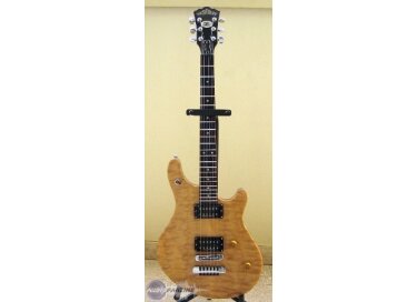 Washburn WM100