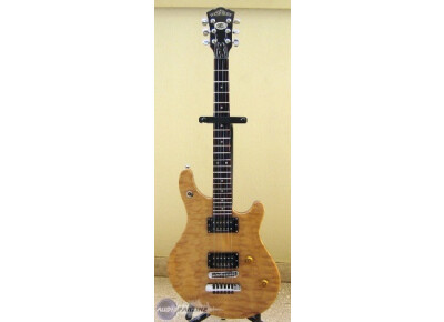 Washburn WM100