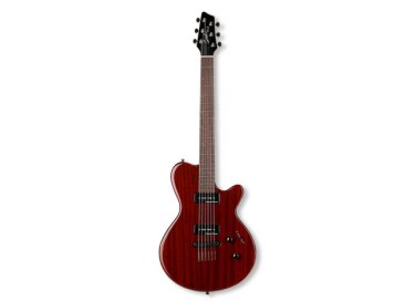 Godin LG P90