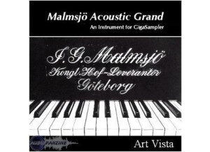 Art Vista Malmsjö Acoustic Grand