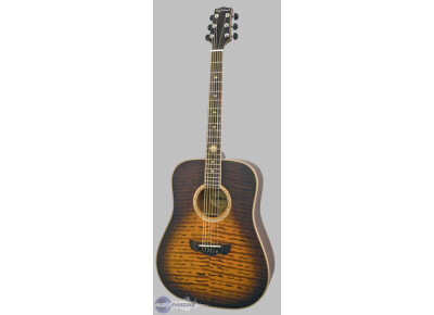 Highland Guitar Company HAG-240