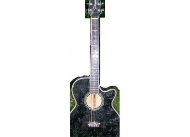 Takamine FP592G