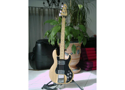 Peavey T-40