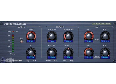 Princeton Digital Reverb 2016 Plate
