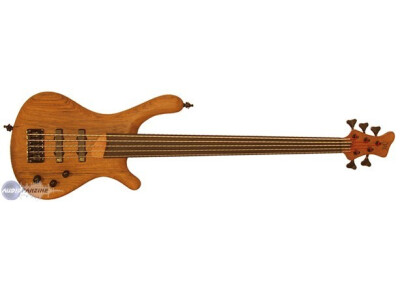 Mayones Be 5 Fretless
