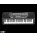 See the photo of the Casio CTK-700 Casio CTK-700