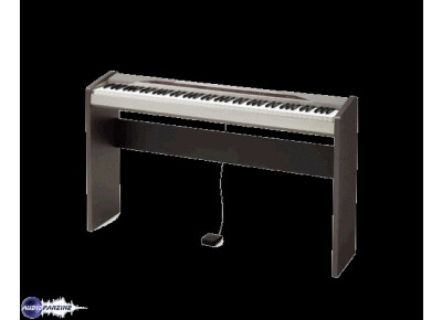Casio Privia PX-110