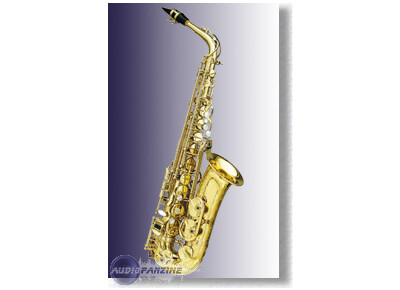 Selmer Super Action 80 Serie II Alto