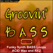 Kreativ Sounds Groovin' Bass- Funky Synth Bass Loops