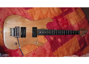 Washburn N4 Davies