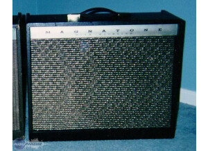 Magnatone Amps Custom 410