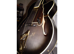 D'angelico NYL-6