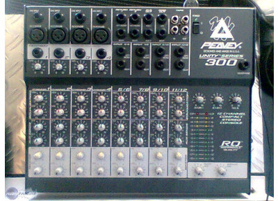 Peavey Unity 300