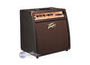 Peavey Ecoustic 110 EFX