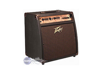 Peavey Ecoustic 110 EFX