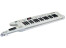 Roland AX-7