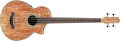 Ibanez EWB20 SM FENT limited Edition