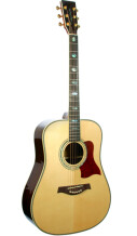 Tanglewood TW1000 N