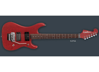 Washburn N2 PSK