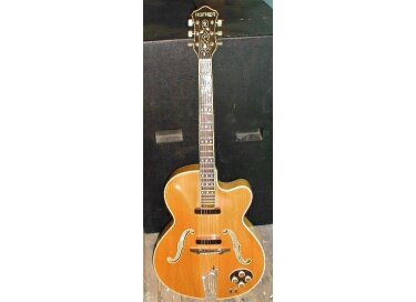 Hofner Guitars president/ comitee
