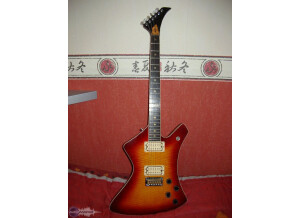 Washburn A-20V