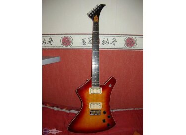 Washburn A-20V
