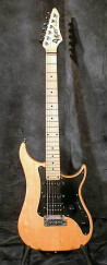 Vigier Excalibur Standard