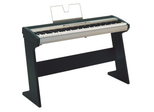Korg Stsp-300Db