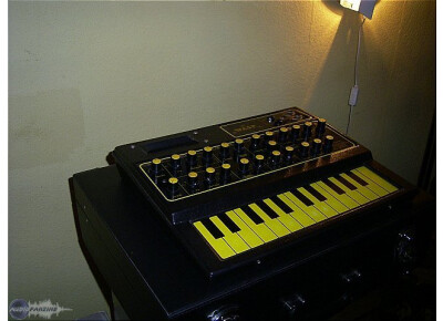 Electronic Dream Plant WASP