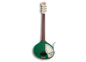 Jerry Jones Baby Sitar