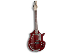 Jerry Jones Master Sitar