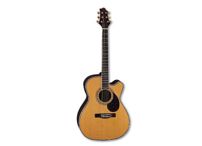 Samick OM 8CE Greg Bennett