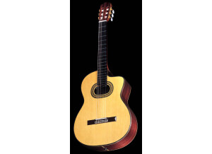 Takamine TH90