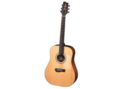 Tacoma Guitars DM10