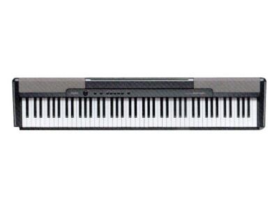 Casio CDP-100