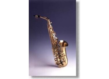 Selmer Super Action II Alto VO