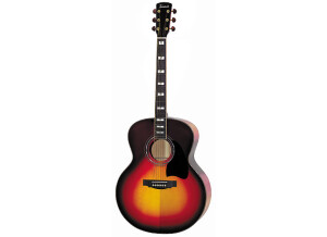 Tennessee Guitars J-150E
