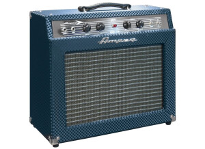 Ampeg J-20