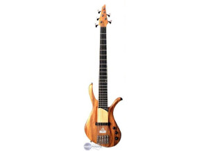 Ibanez AFR A105