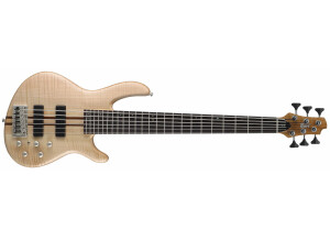 Cort A6