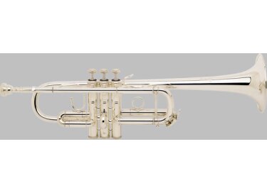 Bach Vincent C180SL239