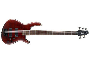 Cort C5