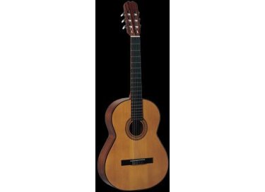 Admira Paloma k24
