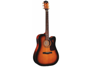 Fender DG-22SCE