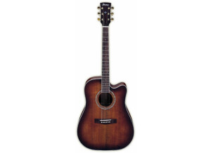 Ibanez AW120ECE