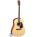 Martin & Co Standard D-40 (1997-2011)