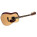 Martin & Co Standard D-41 (2005-2017)