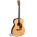 See the photo of the Martin & Co OM-28V Martin & Co OM-28V