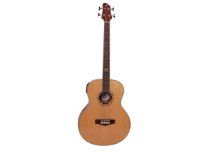 Elypse Guitars Lyna